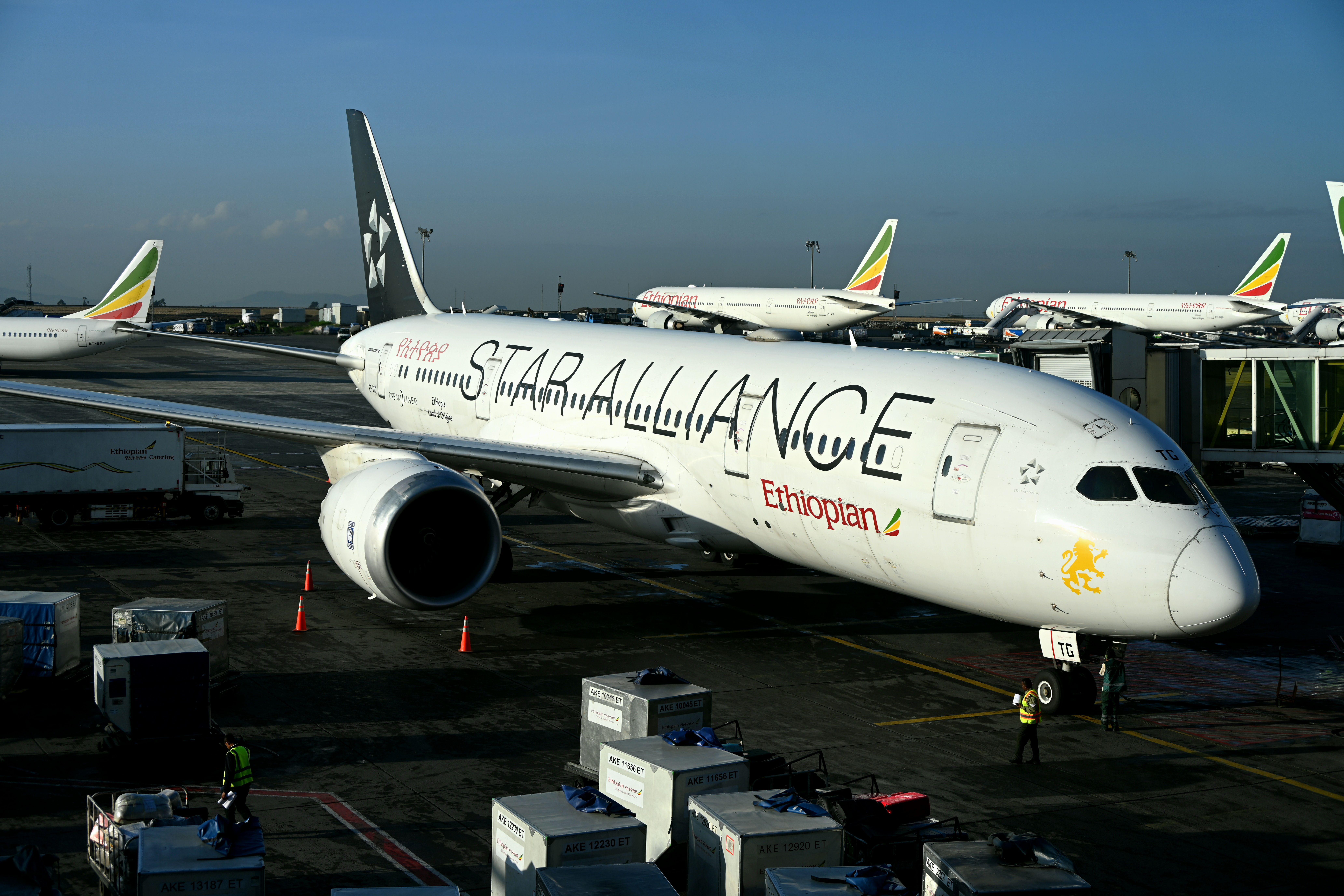 Ethiopian Airlines: What Other African Companies Can Learn From Its Operating Model